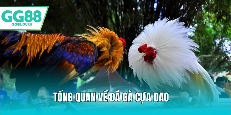 Tổng quan về đá gà cựa dao